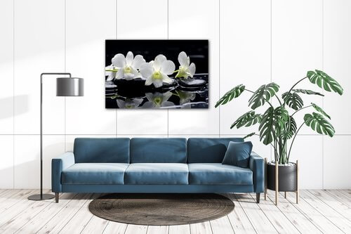 Bild White orchids black background - 90 x 60 cm