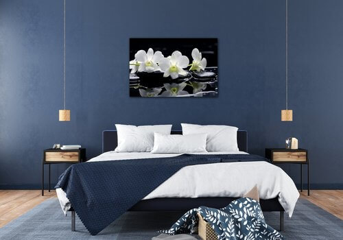 Bild White orchids black background - 90 x 60 cm