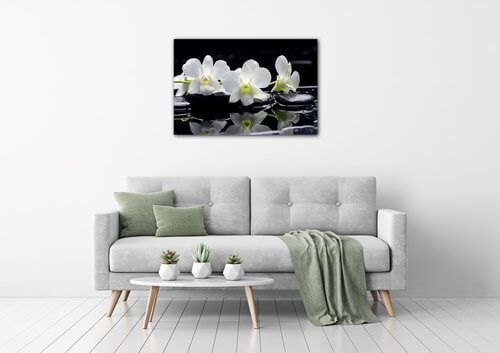 Bild White orchids black background - 90 x 60 cm