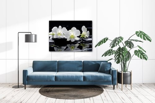 Bild White orchids black background - 70 x 50 cm