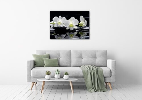 Bild White orchids black background - 70 x 50 cm