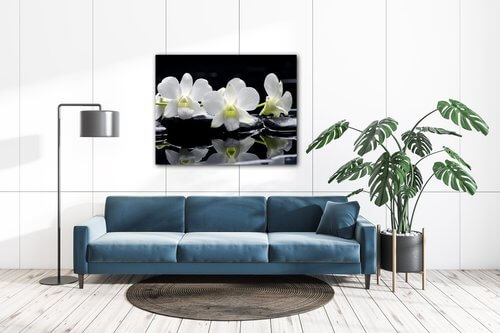 Bild White orchids black background - 90 x 70 cm