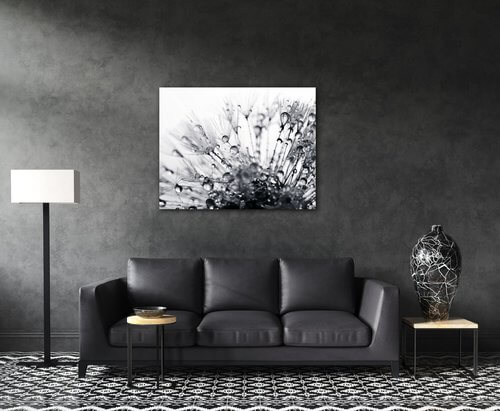 Bild Flower with little drops of water - 90 x 70 cm