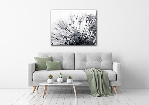 Bild Flower with little drops of water - 90 x 70 cm