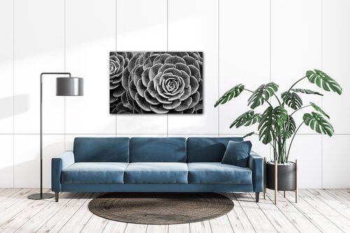 Bild Black and white blossom - 60 x 40 cm
