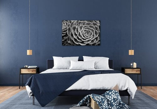 Bild Black and white blossom - 60 x 40 cm