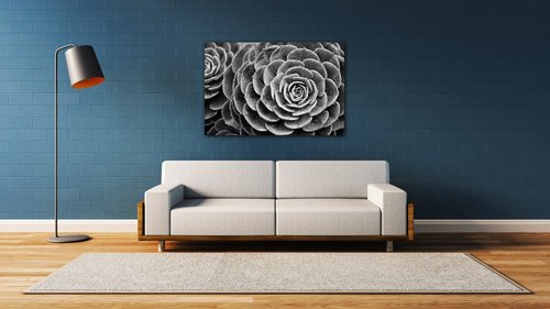 Bild Black and white blossom - 60 x 40 cm