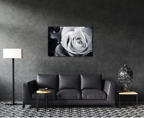 Bild Black and white rose with drops of water - 90 x 60 cm