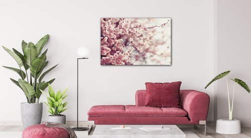 Bild Light pink blossom on the tree - 60 x 40 cm