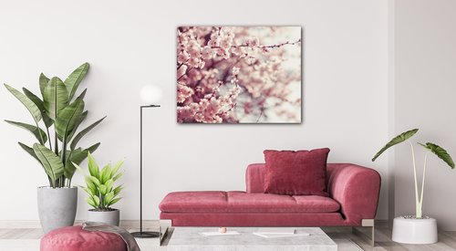 Bild Light pink blossom on the tree - 90 x 70 cm