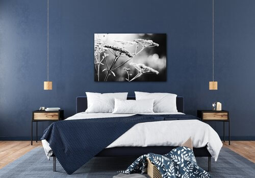 Bild Black and white meadow flower - 60 x 40 cm