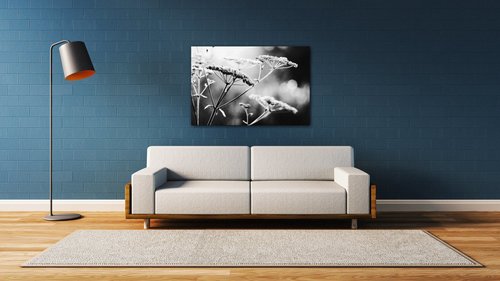 Bild Black and white meadow flower - 60 x 40 cm