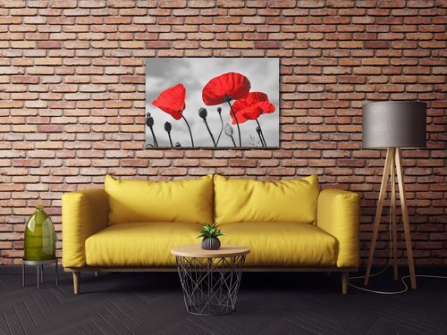 Bild Poppy - 90 x 60 cm