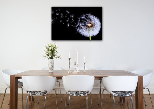 Bild Dandelion black and green - 90 x 60 cm
