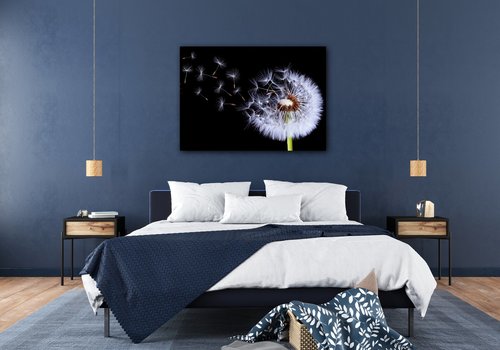 Bild Dandelion black and green - 70 x 50 cm