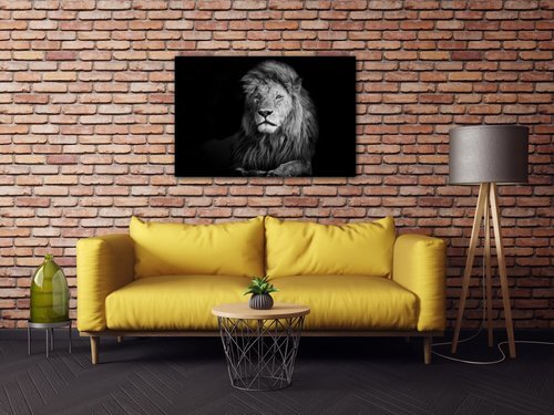 Bild Lion black and white - 60 x 40 cm