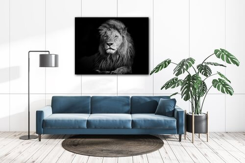 Bild Lion black and white - 90 x 70 cm