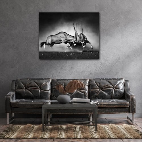 Bild Antilopes black and white - 90 x 70 cm
