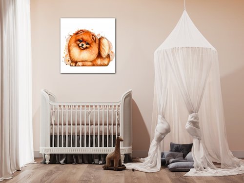 Obraz Dog Pomeranian - 40 x 40 cm