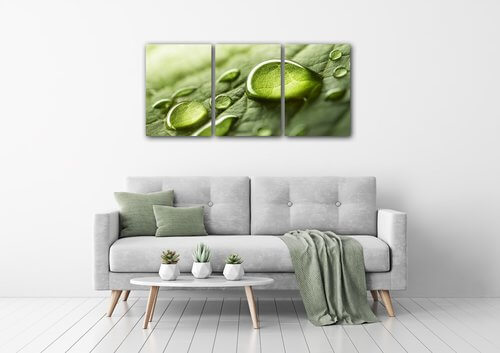 Bild Drops of water on the leaf - 150 x 70 cm (3-teiliges)