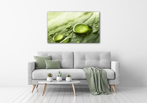 Bild Drops of water on the leaf - 50 x 30 cm
