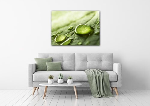 Bild Drops of water on the leaf - 70 x 50 cm