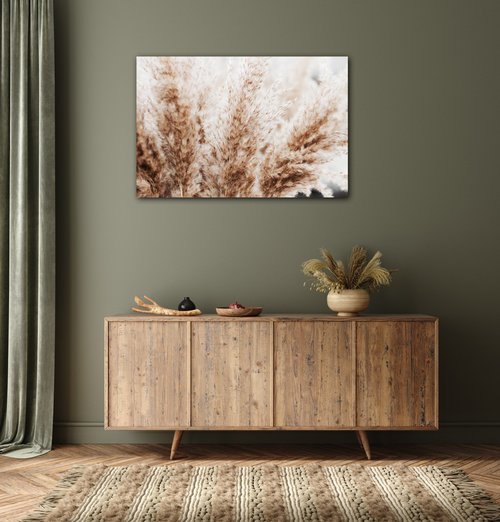 Bild Dry flowers detail - 60 x 40 cm