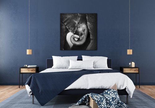 Bild Elephant black and white - 50 x 50 cm