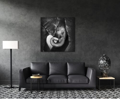 Bild Elephant black and white - 50 x 50 cm