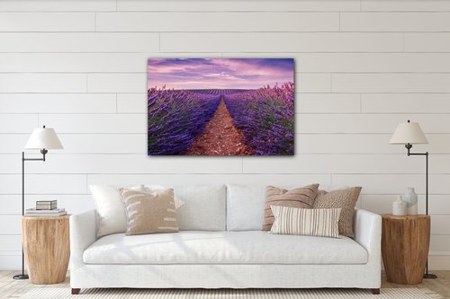 Bild Lavender field - 90 x 60 cm