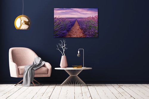 Bild Lavender field - 90 x 60 cm