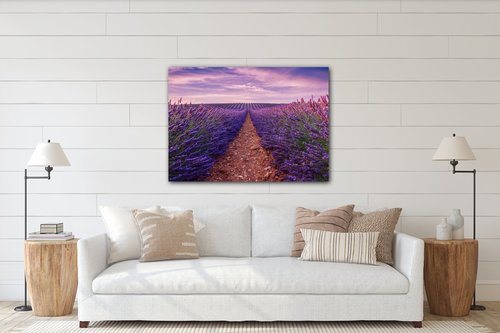 Bild Lavender field - 70 x 50 cm