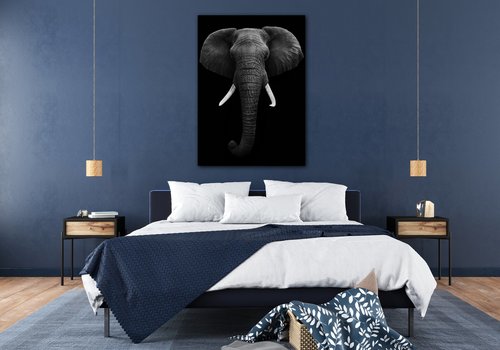 Bild Elephant dark - 50 x 70 cm