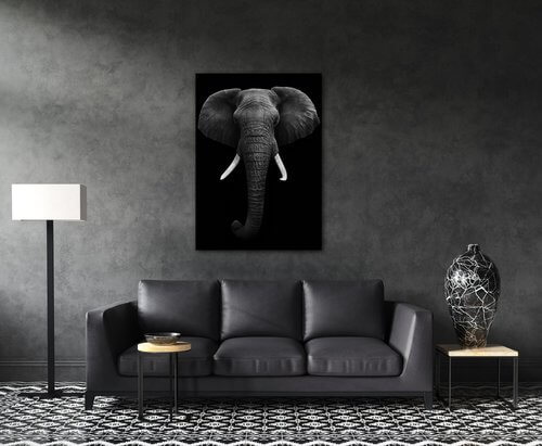 Bild Elephant dark - 50 x 70 cm