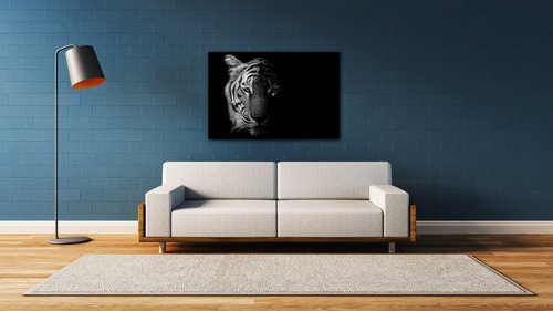 Bild Tiger black and white - 90 x 60 cm