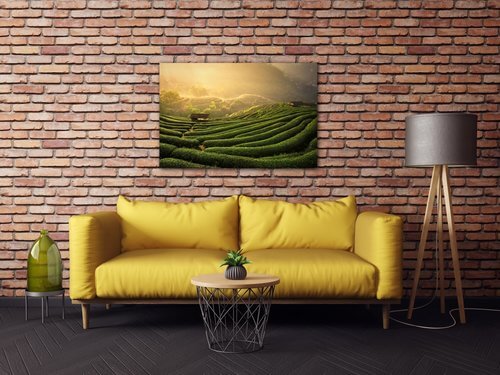 Bild Sunrise On The Tea Plantation - 60 x 40 cm