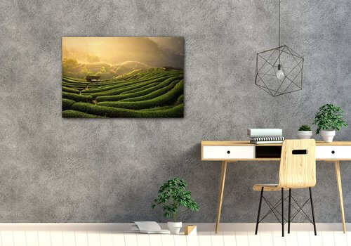 Bild Sunrise On The Tea Plantation - 60 x 40 cm