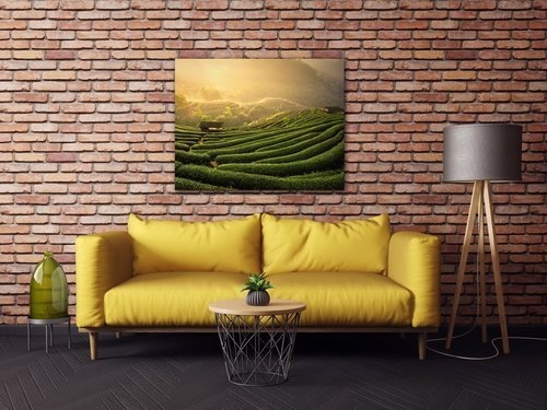 Bild Sunrise On The Tea Plantation - 90 x 70 cm