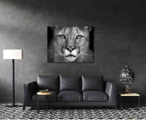 Bild Beast - 90 x 70 cm