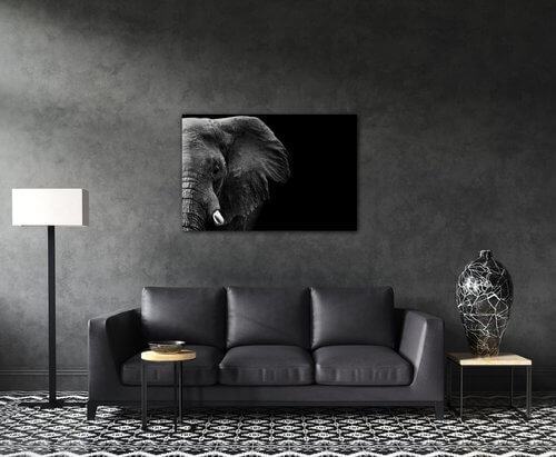 Bild Elephant black background - 60 x 40 cm