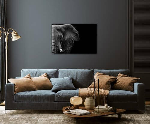Bild Elephant black background - 60 x 40 cm
