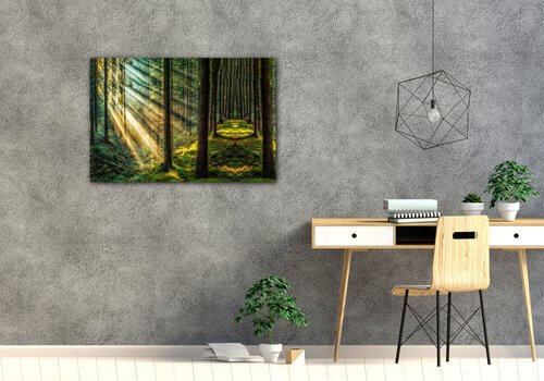 Bild Beautiful forest - 60 x 40 cm