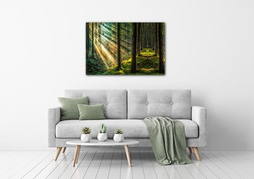 Bild Beautiful forest - 60 x 40 cm