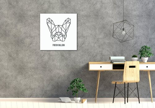 Bild French Bulldog White Background - 60 x 60 cm