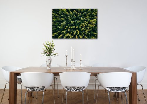 Bild Forest - 60 x 40 cm
