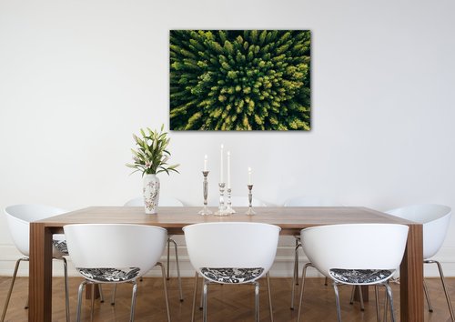 Bild Forest - 70 x 50 cm