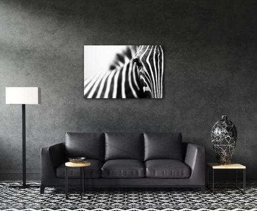 Bild Zebra detail - 90 x 60 cm