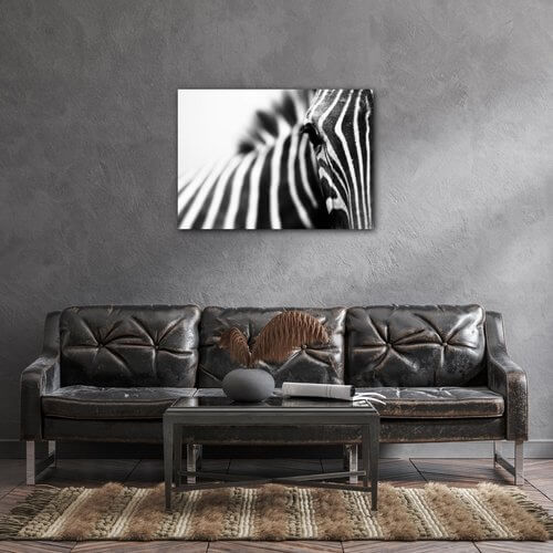 Bild Zebra detail - 70 x 50 cm