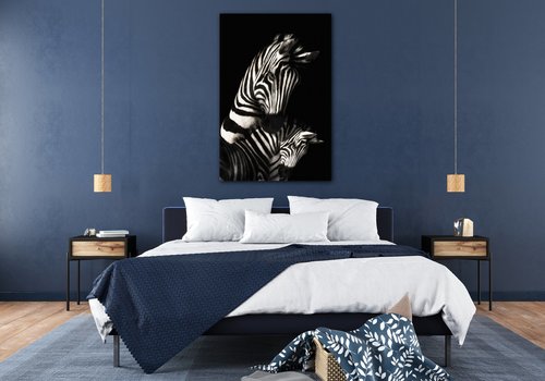 Bild Zebras black and white - 40 x 60 cm