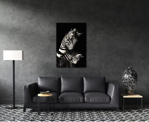 Bild Zebras black and white - 40 x 60 cm